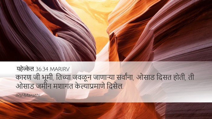 यहेज्केल 36:34 MARIRV Bible Verse Image