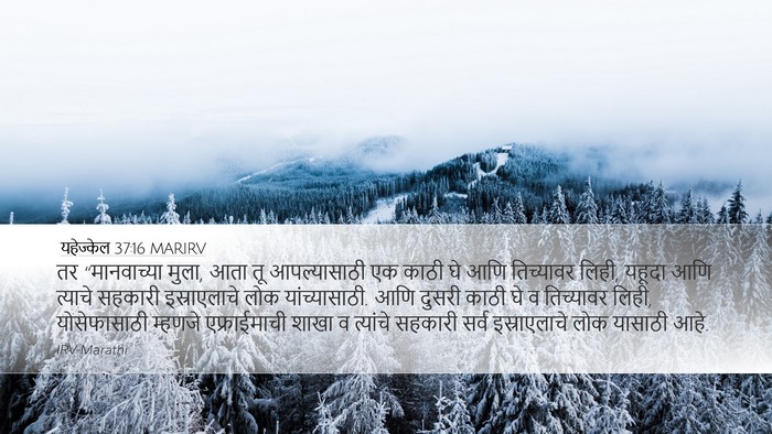 यहेज्केल 37:16 MARIRV Bible Verse Image