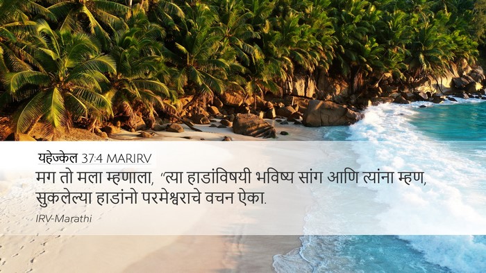 यहेज्केल 37:4 MARIRV Bible Verse Image