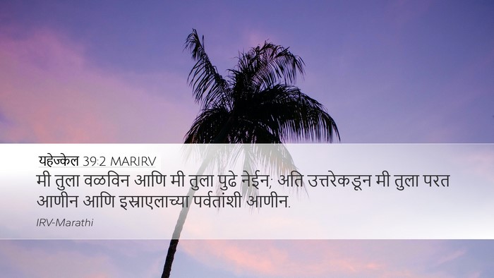यहेज्केल 39:2 MARIRV Desktop Wallpaper - मी तुला वळविन आणि - Desktop Bible Verse Wallpaper