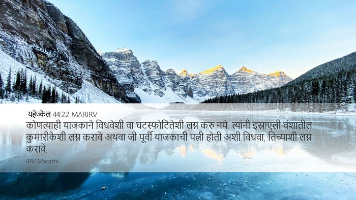 यहेज्केल 44:22 MARIRV Bible Verse Image