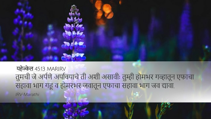 यहेज्केल 45:13 MARIRV Desktop Wallpaper - तुमची जे अर्पणे - Desktop Bible Verse Wallpaper