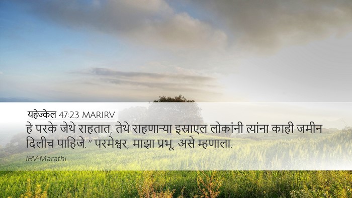 यहेज्केल 47:23 MARIRV Desktop Wallpaper - हे परके जेथे - Desktop Bible Verse Wallpaper