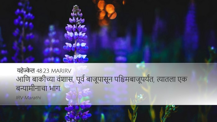 यहेज्केल 48:23 MARIRV Desktop Wallpaper - आणि बाकीच्या - Desktop Bible Verse Wallpaper
