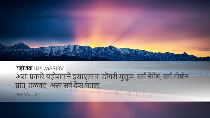 यहोशवा 11:16 MARIRV Bible Verse Image