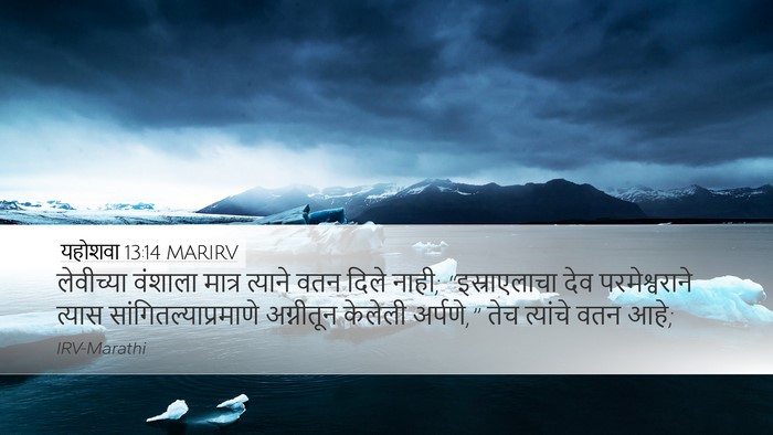यहोशवा 13:14 MARIRV Bible Verse Image