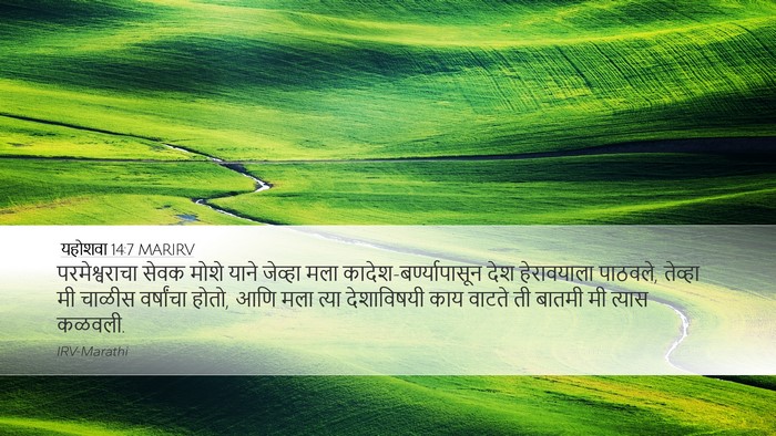 यहोशवा 14:7 MARIRV Bible Verse Image