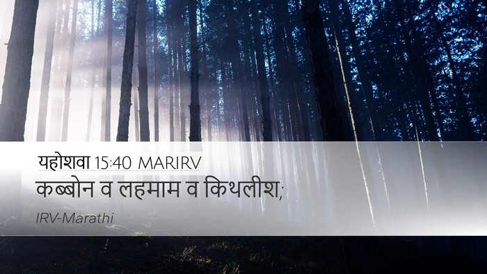 यहोशवा 15:40 MARIRV Desktop Wallpaper - कब्बोन व लहमाम व - Desktop Bible Verse Wallpaper