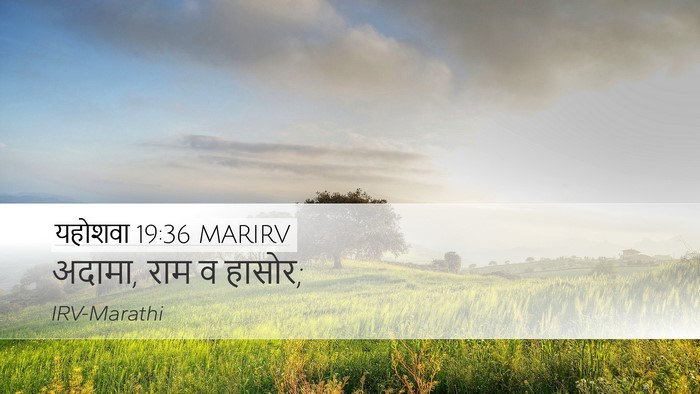 यहोशवा 19:36 MARIRV Desktop Wallpaper - अदामा, राम व - Desktop Bible Verse Wallpaper