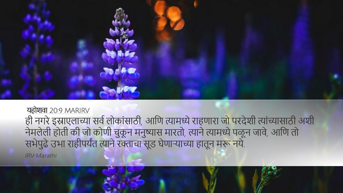 यहोशवा 20:9 MARIRV Desktop Wallpaper - ही नगरे - Desktop Bible Verse Wallpaper
