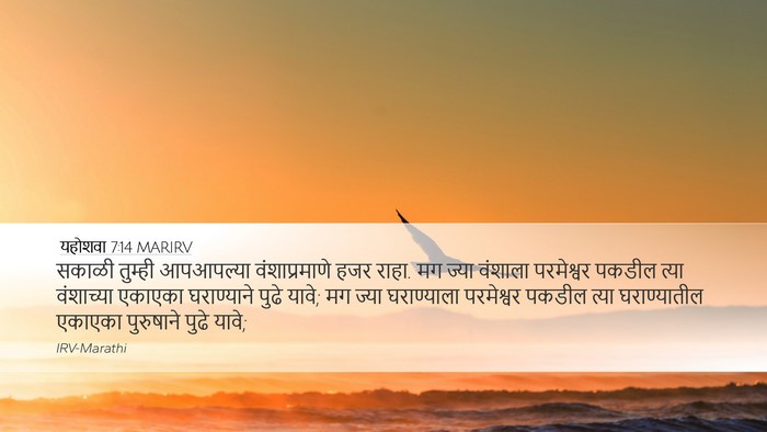 यहोशवा 7:14 MARIRV Desktop Wallpaper - सकाळी तुम्ही - Desktop Bible Verse Wallpaper