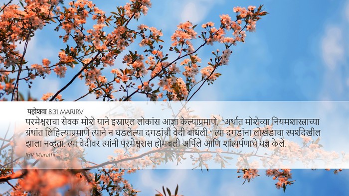 यहोशवा 8:31 MARIRV Bible Verse Image