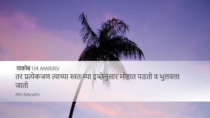 याकोब 1:14 MARIRV Bible Verse Image