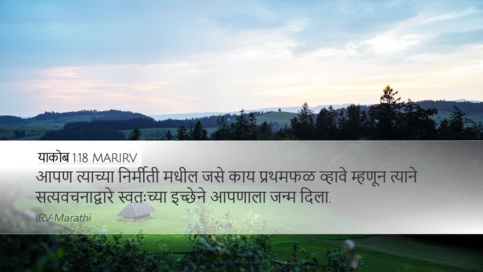 याकोब 1:18 MARIRV Bible Verse Image
