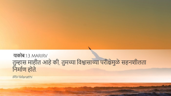याकोब 1:3 MARIRV Bible Verse Image