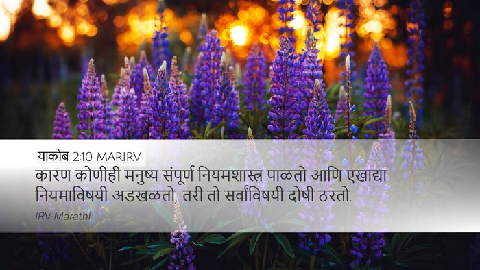 याकोब 2:10 MARIRV Bible Verse Image