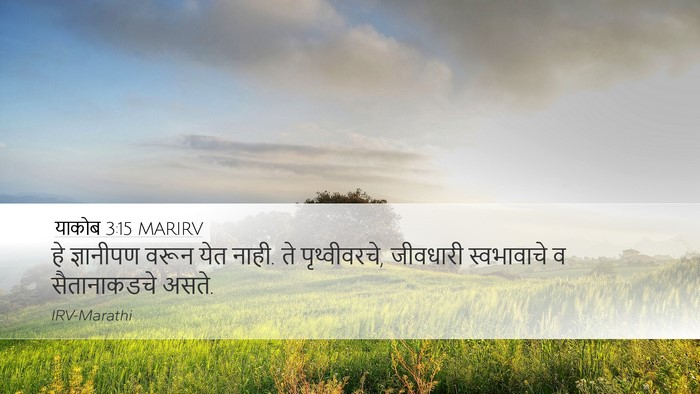 याकोब 3:15 MARIRV Bible Verse Image