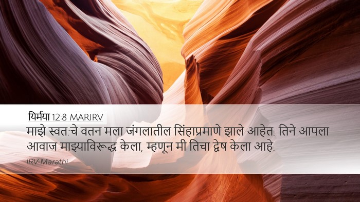 यिर्मया 12:8 MARIRV Desktop Wallpaper - माझे स्वत:चे वतन - Desktop Bible Verse Wallpaper