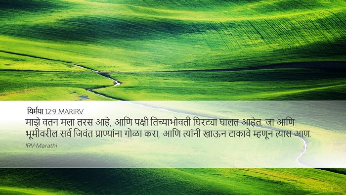 यिर्मया 12:9 MARIRV Bible Verse Image