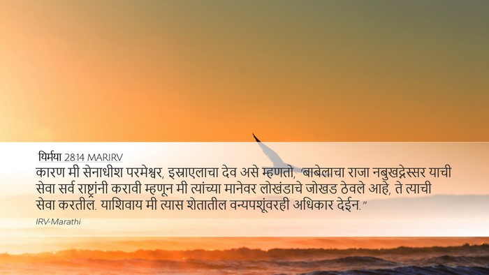 यिर्मया 28:14 MARIRV Bible Verse Image
