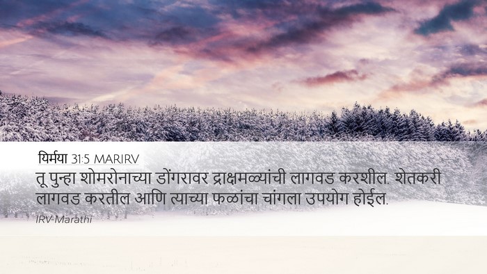 यिर्मया 31:5 MARIRV Bible Verse Image
