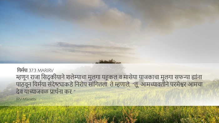 यिर्मया 37:3 MARIRV Bible Verse Image
