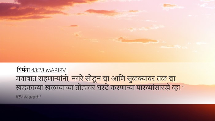 यिर्मया 48:28 MARIRV Bible Verse Image