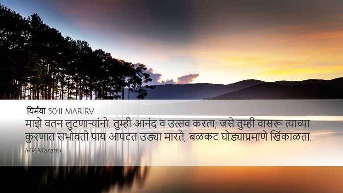 यिर्मया 50:11 MARIRV Bible Verse Image