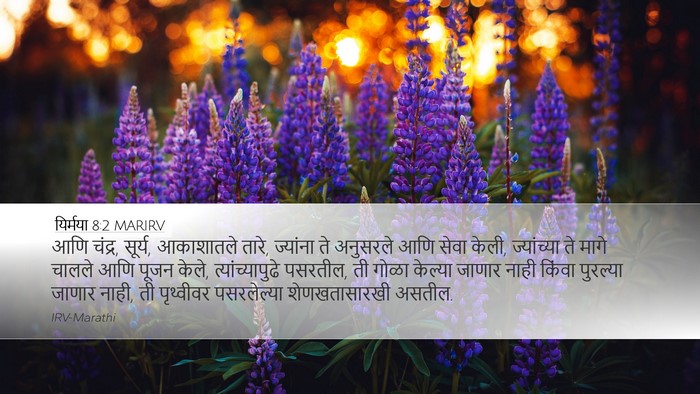 यिर्मया 8:2 MARIRV Bible Verse Image