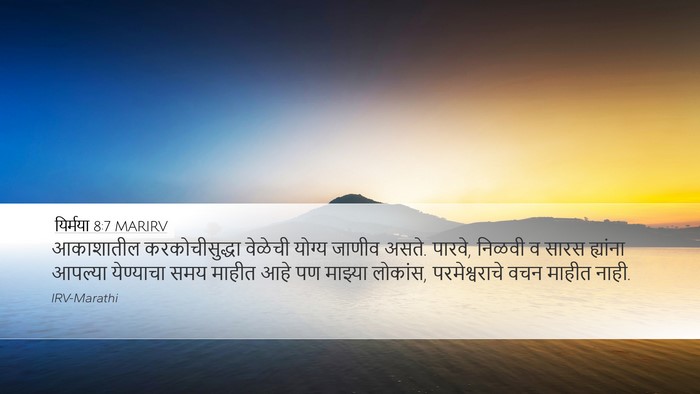 यिर्मया 8:7 MARIRV Bible Verse Image