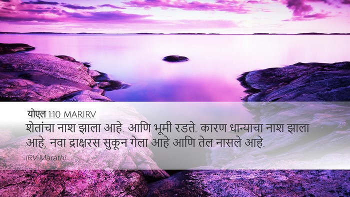 योएल 1:10 MARIRV Bible Verse Image