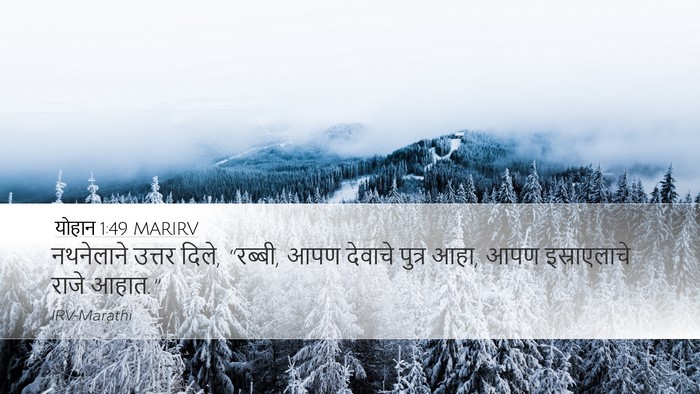 योहान 1:49 MARIRV Bible Verse Image
