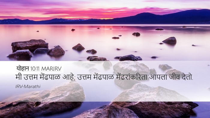 योहान 10:11 MARIRV Bible Verse Image