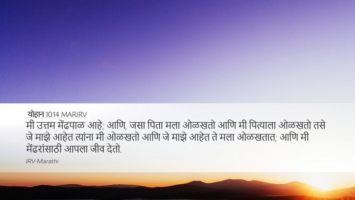 योहान 10:14 MARIRV Bible Verse Image