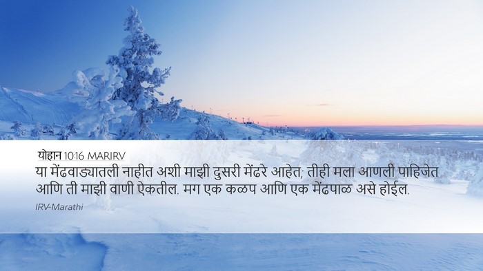 योहान 10:16 MARIRV Bible Verse Image