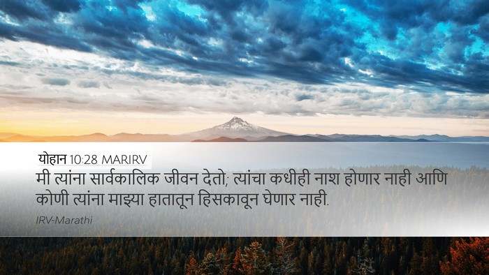 योहान 10:28 MARIRV Bible Verse Image