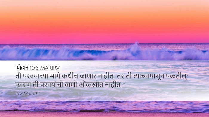 योहान 10:5 MARIRV Bible Verse Image