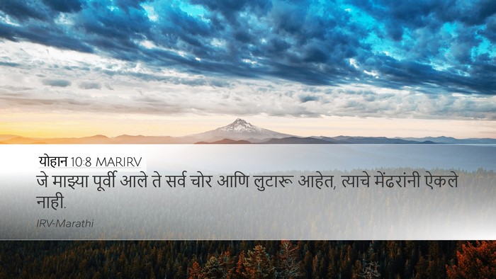 योहान 10:8 MARIRV Bible Verse Image