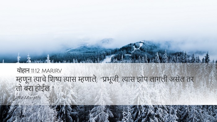 योहान 11:12 MARIRV Desktop Wallpaper - म्हणून त्याचे - Desktop Bible Verse Wallpaper