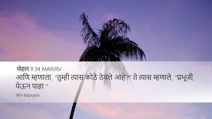 योहान 11:34 MARIRV Desktop Wallpaper - आणि म्हणाला, - Desktop Bible Verse Wallpaper