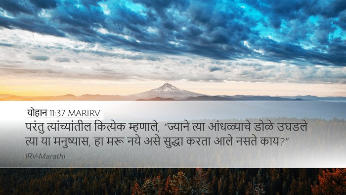 योहान 11:37 MARIRV Bible Verse Image