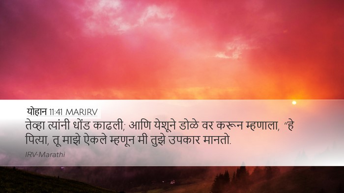 योहान 11:41 MARIRV Bible Verse Image