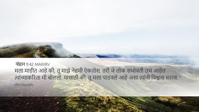 योहान 11:42 MARIRV Bible Verse Image