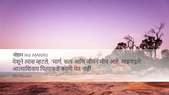 योहान 14:6 MARIRV Bible Verse Image