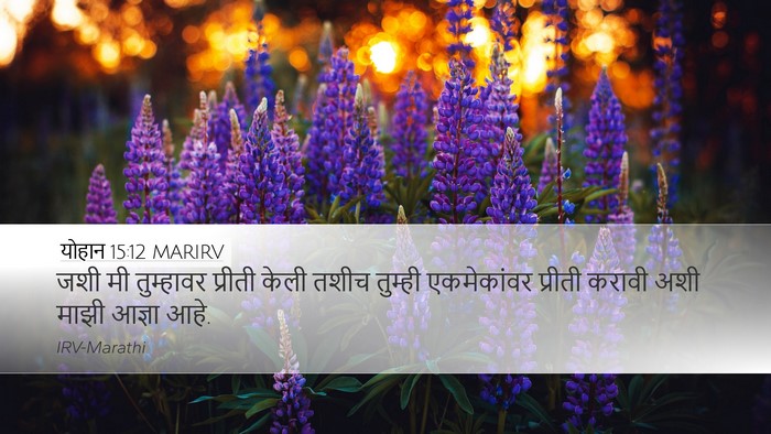 योहान 15:12 MARIRV Bible Verse Image