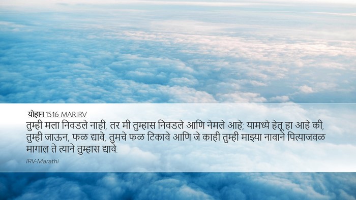 योहान 15:16 MARIRV Bible Verse Image