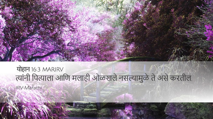 योहान 16:3 MARIRV Bible Verse Image