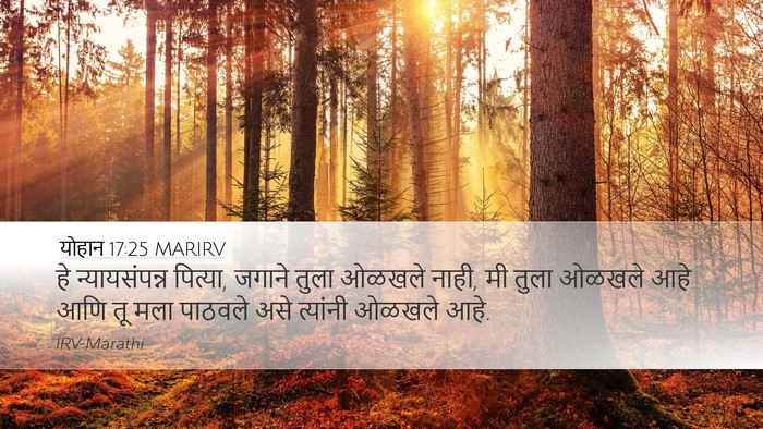 योहान 17:25 MARIRV Bible Verse Image