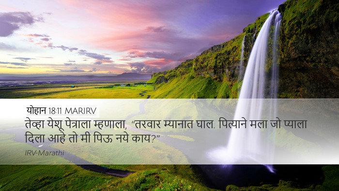 योहान 18:11 MARIRV Bible Verse Image