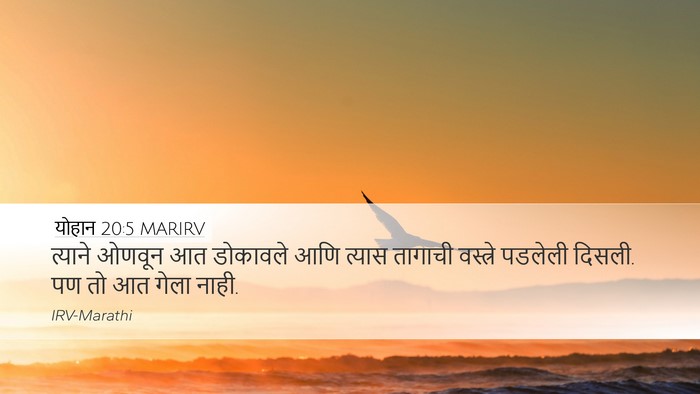 योहान 20:5 MARIRV Desktop Wallpaper - त्याने ओणवून आत - Desktop Bible Verse Wallpaper